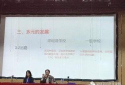 深圳学校新闻爆料最新,校园事件引发社会关注，真相即将揭晓